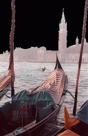 venice_animatet_falko