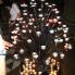 2008-05-31-12-40-46_IMG_1357.JPG